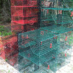 Direct Metals PVC Coated Wire Mesh Lobster, Crab, and Crawfish Traps